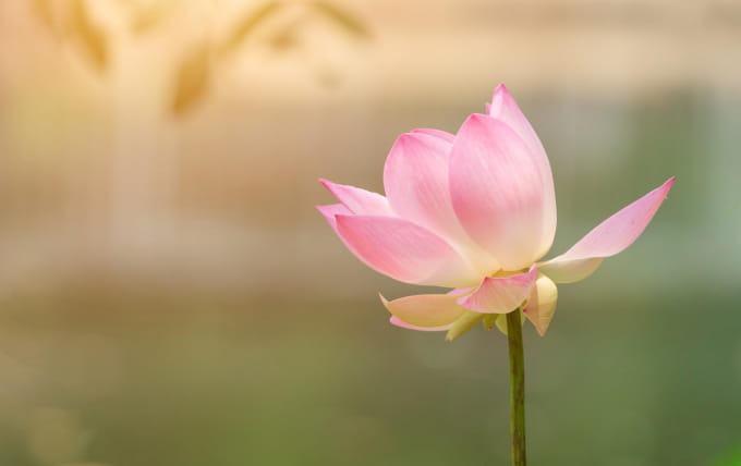 知福 惜福 再造福